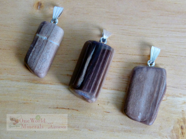 Preview: Versteinertes Holz aus Australien, mit Silberöse, 3 Stück - Unikate (Serie +/- 20)